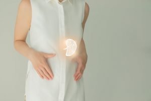 the spleen plays an important role in immune system response and removal of red blood cells. In TCM, the spleen plays an important role in the distribution of nutrients