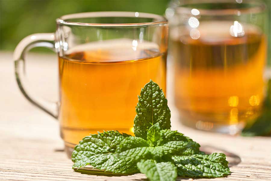 peppermint-tea-singapore