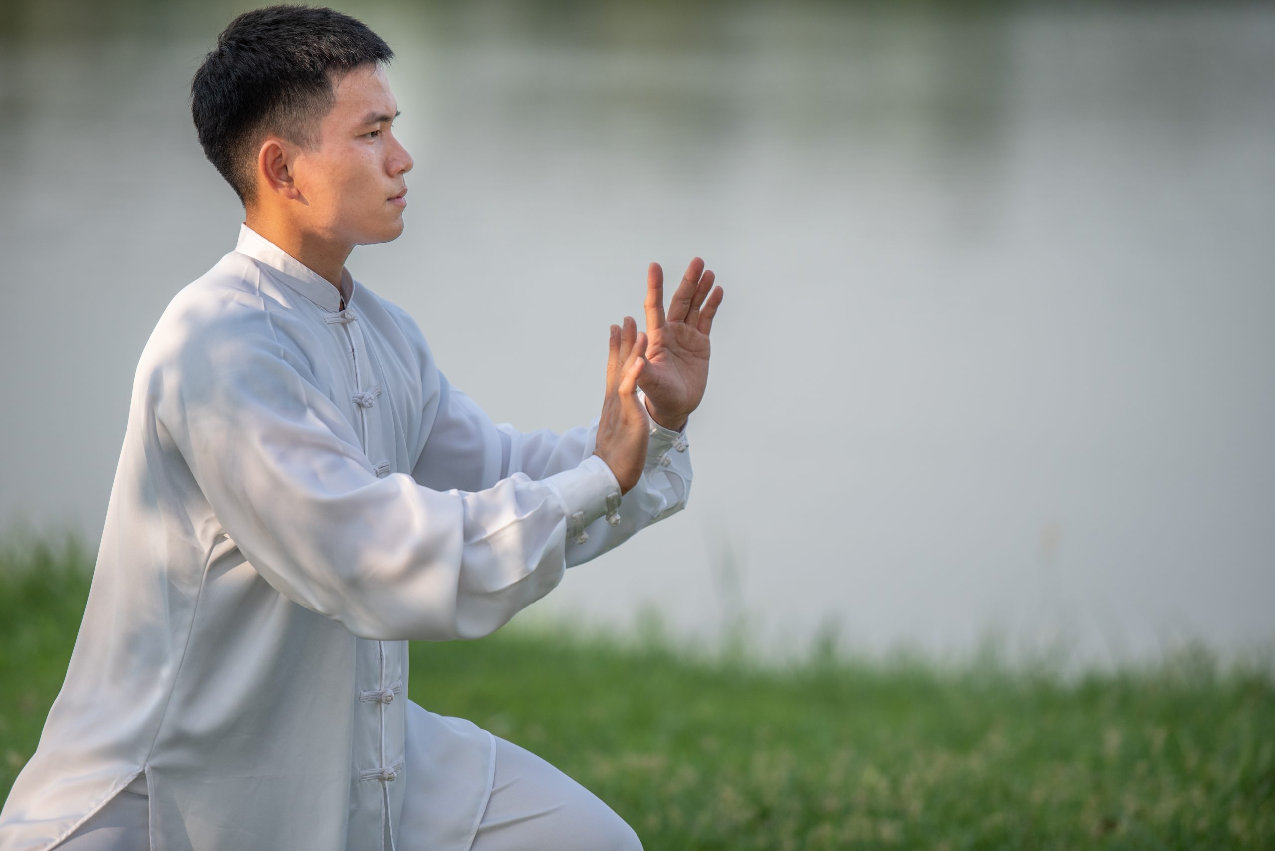 chinese tcm tai chi
