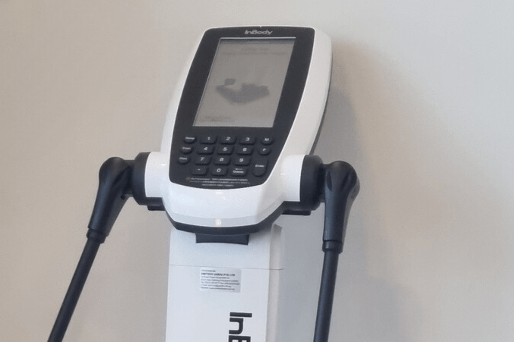 weight loss program singapore inbody analysis
