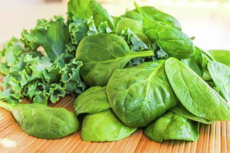 best green leafy vegetables for weight loss